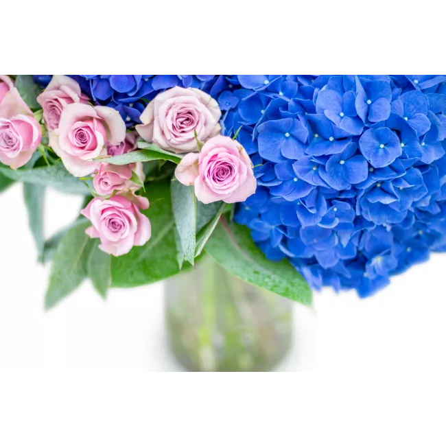 Bouquet of hydrangeas and spray roses